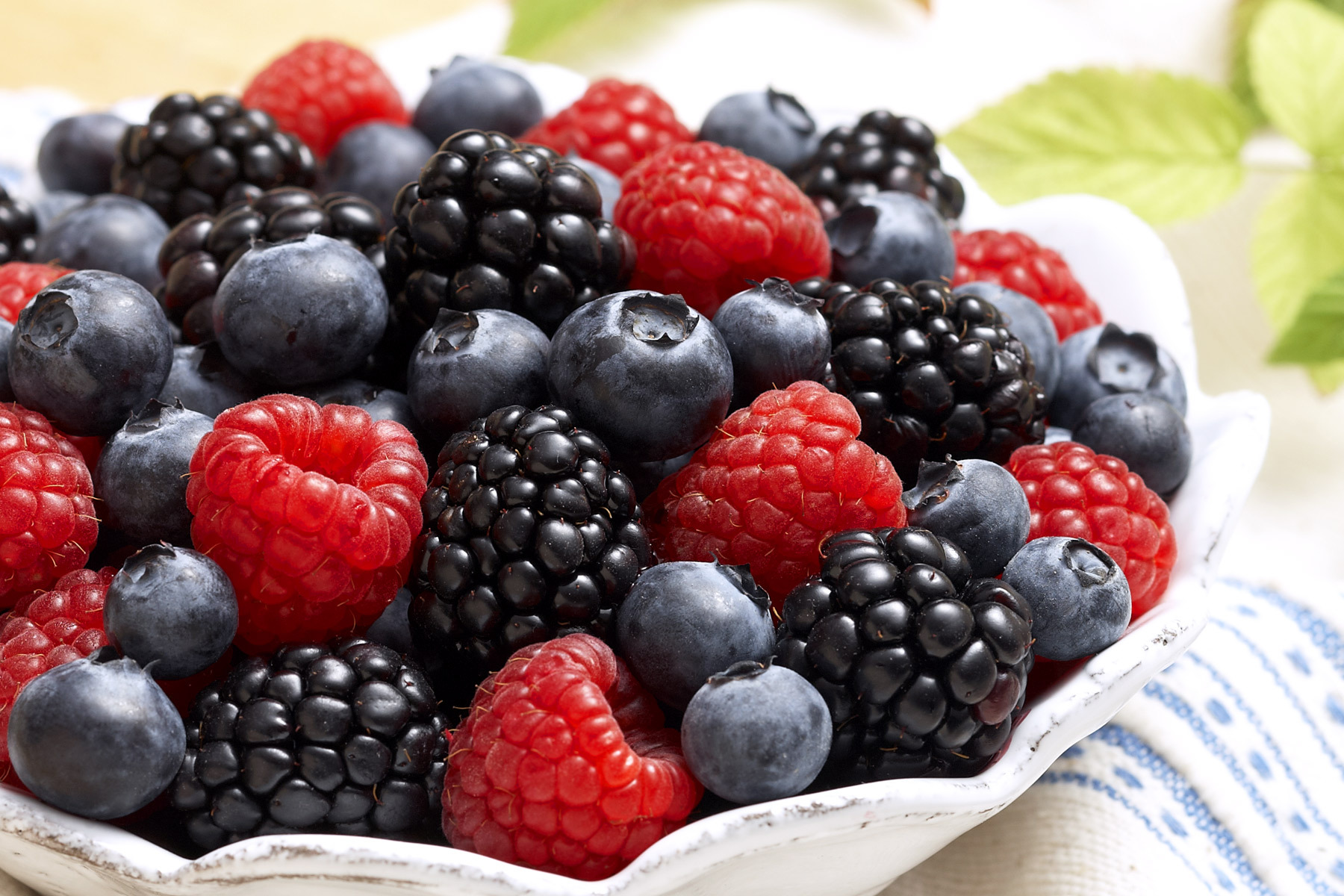 beating the heat with juicy retreat crave bits beating the heat with juicy retreat crave bits