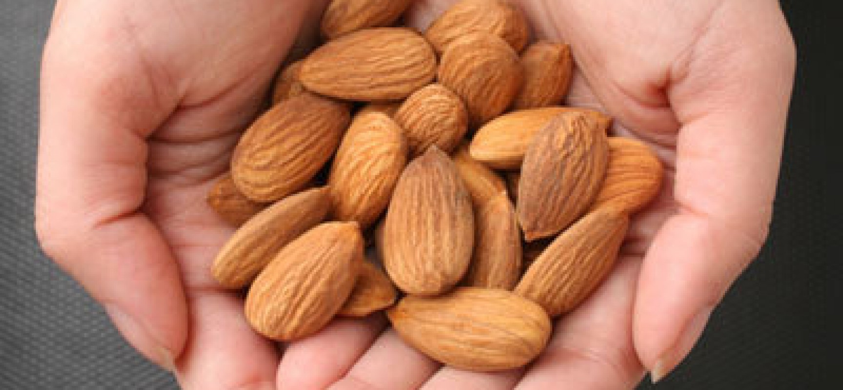 Dr Oz Best Diet Foods Dr Oz Best Diet Foods