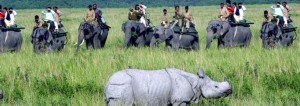 kaziranga-national-park