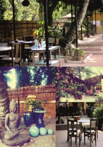 rogue elephant cafe 2 amalgamation