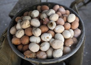 enhanced-buzz-wide-32656-1333041054-18-640x458