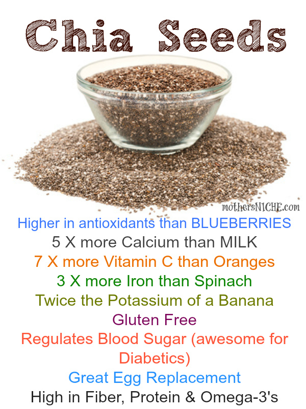 CHIA SEEDS Have You Tried It Crave Bits chia-seeds-have-you-tried-it-crave-bits