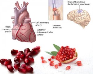 Health-Benefits-of-Pomegranate-for-better-functioning-of-heart