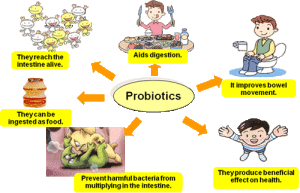 2probiotics