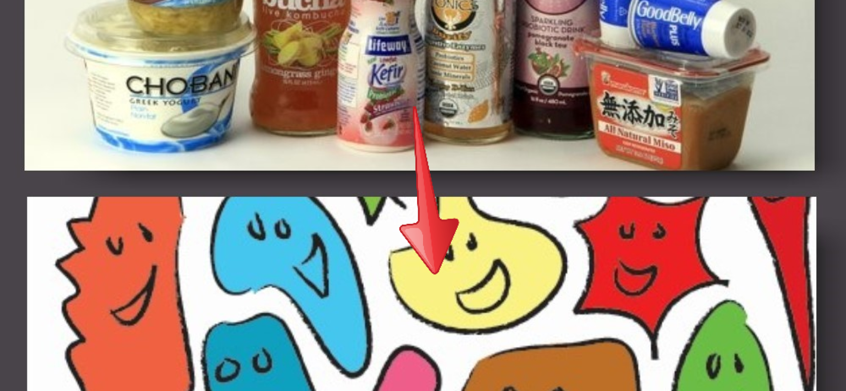 Probiotics : Teaming Up With Good Microbes