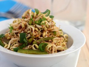Bean Sprouts and Capsicum salad