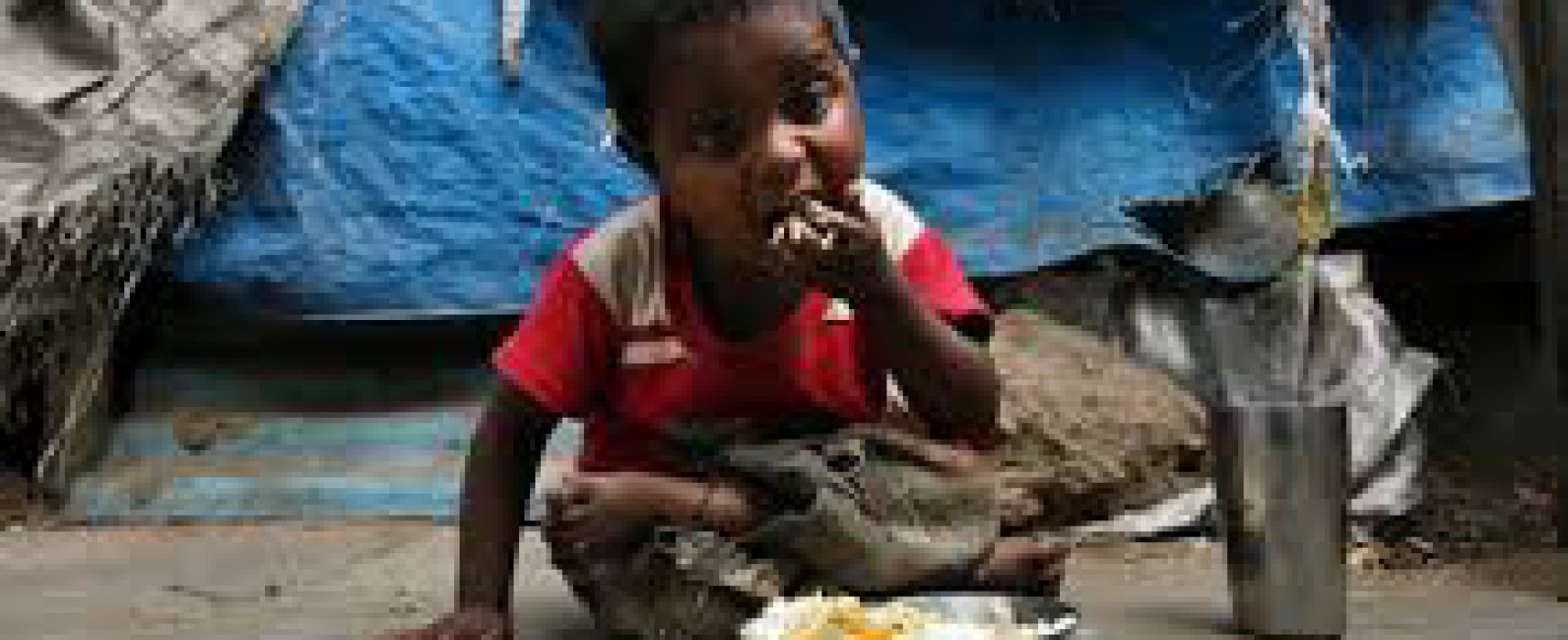 Malnutrition in India