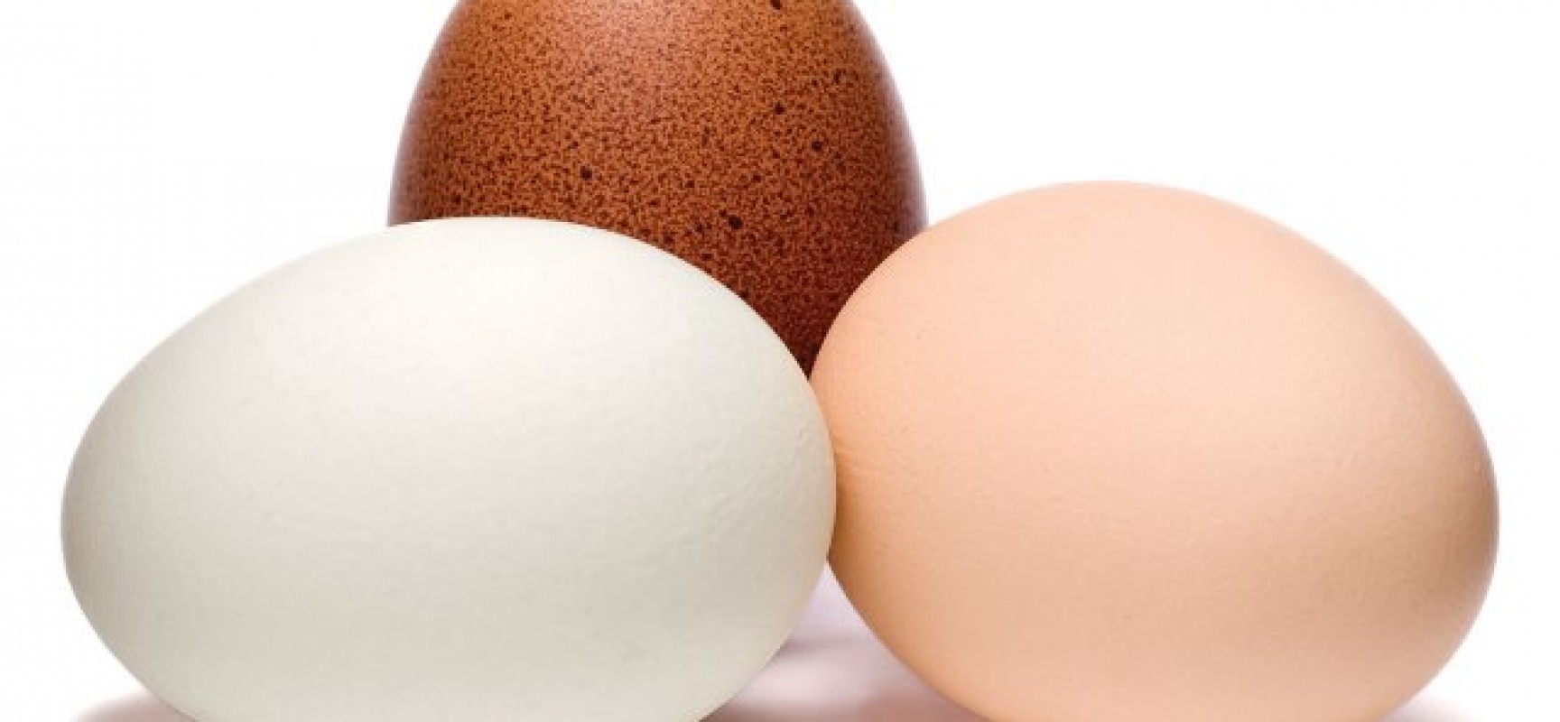 Health Benefits of Eating Eggs