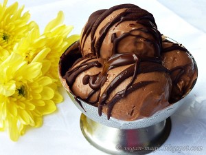 Coconut Chocolate Ice Cream