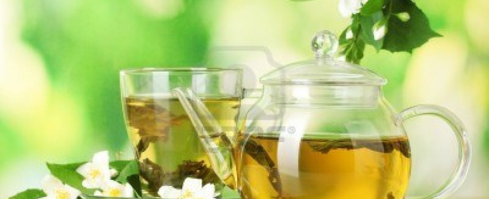 Green Tea: The Elixir!