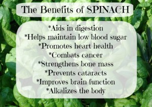 Screen-Shot-2012-12-12-at-9.42.19-PMThe-Benefits-of-Spinach