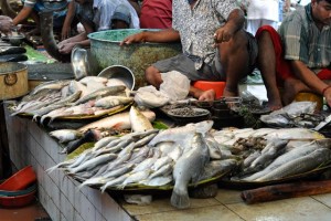 Varieties of fishes in Kolkata fish market