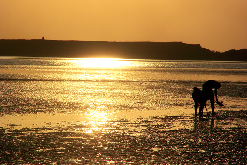 For the love of sea-side food (Alibaug beach)