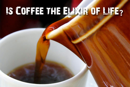 Why Coffee Is The Elixir Of Life