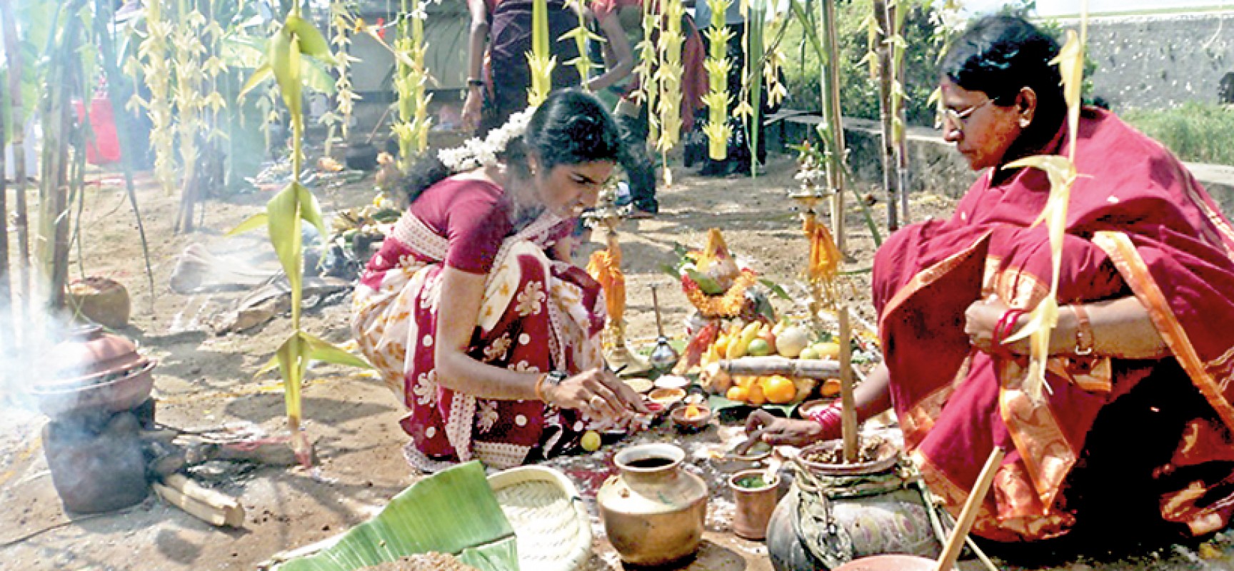 Pongal – The Harvest Festival