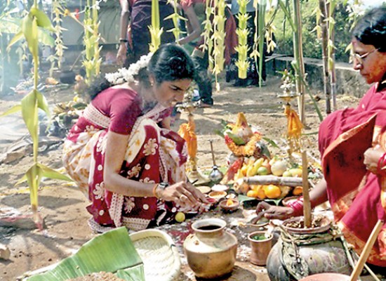 Pongal – The Harvest Festival
