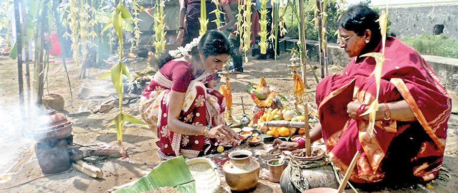 Pongal – The Harvest Festival