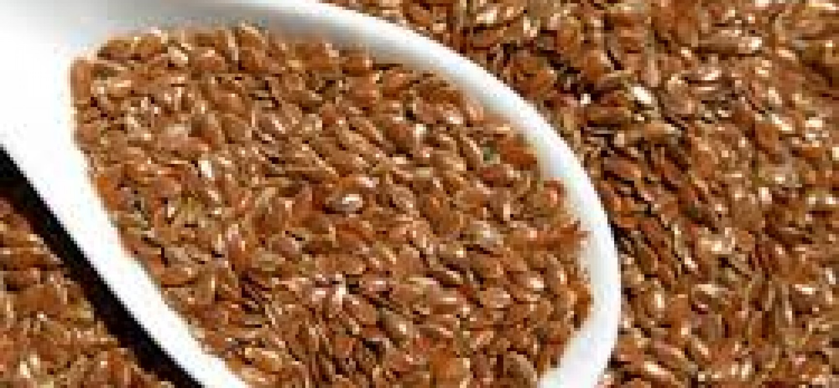 All About Flax Seeds