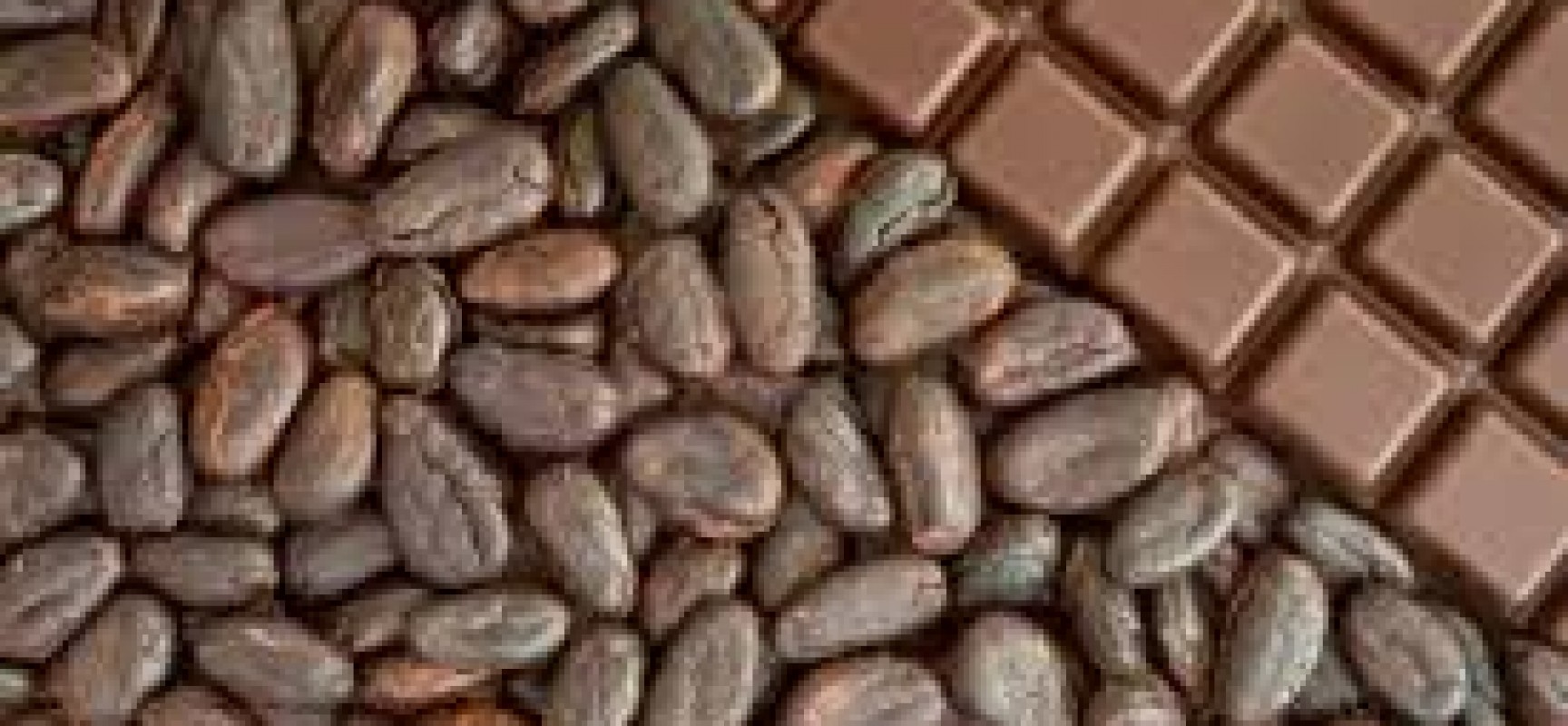 Interesting facts about chocolates