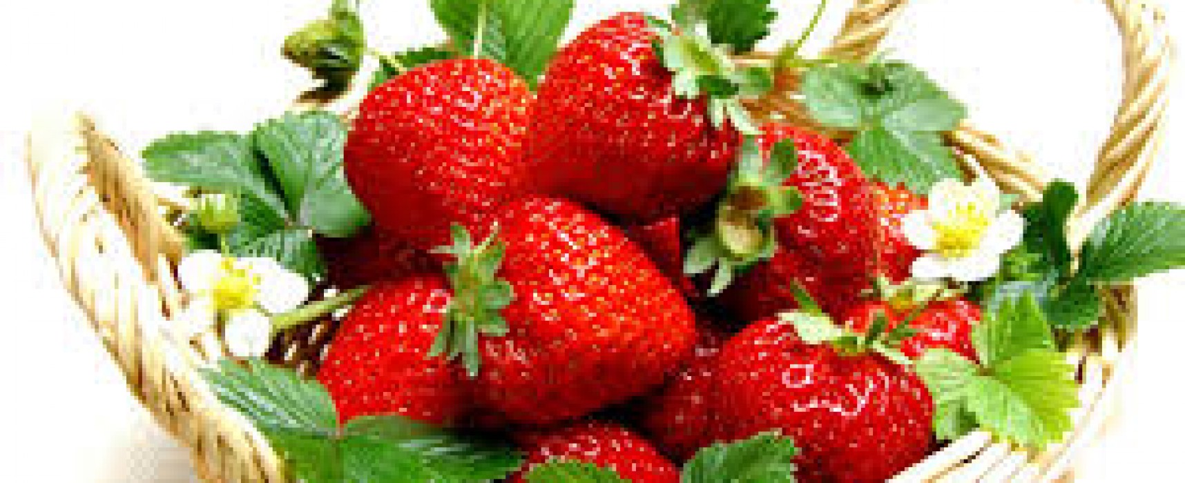 Strawberry Pleasures