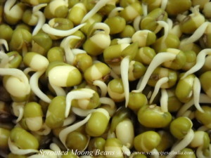 moong-mung-bean-sprouts-photo-co-vegrecipesofindia-com