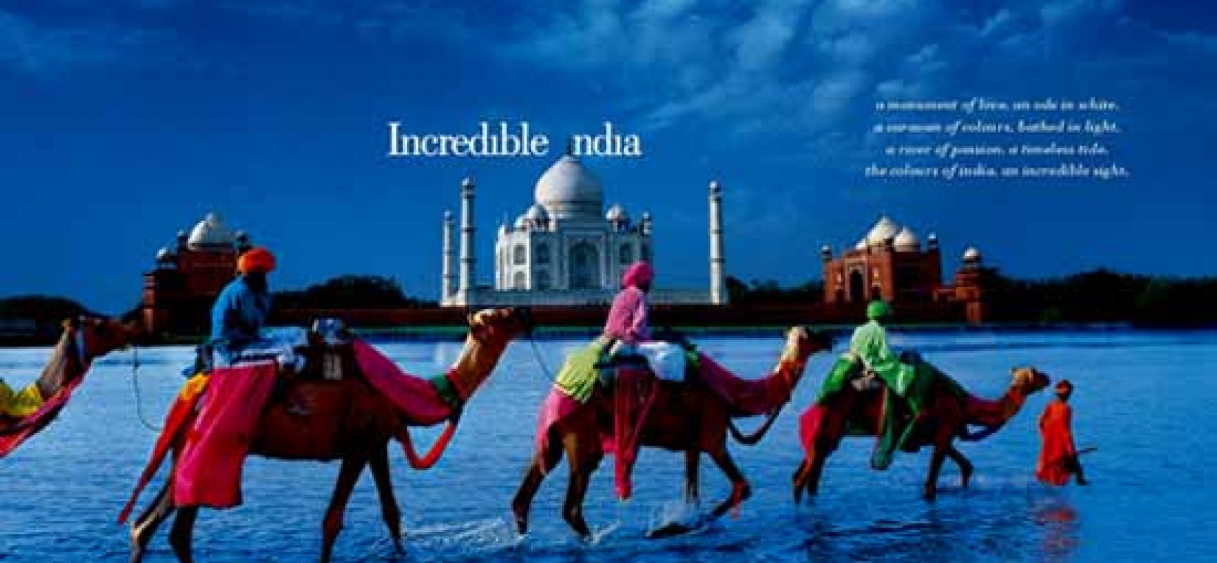INDIAN CULTURAL DIASPORA AND DIVERSITY