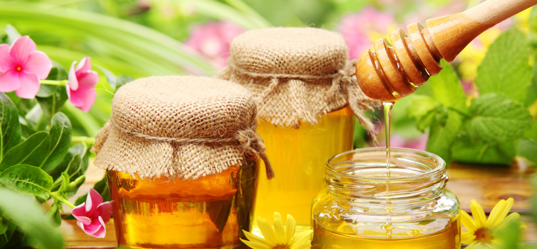 Fun facts about honey – the wonders it can do!