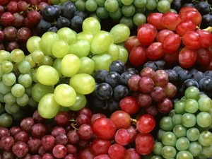 Different varieties of grapes