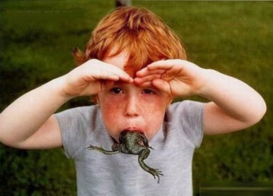 Foodie Dare- World’s most grotesque ‘delicacies’!