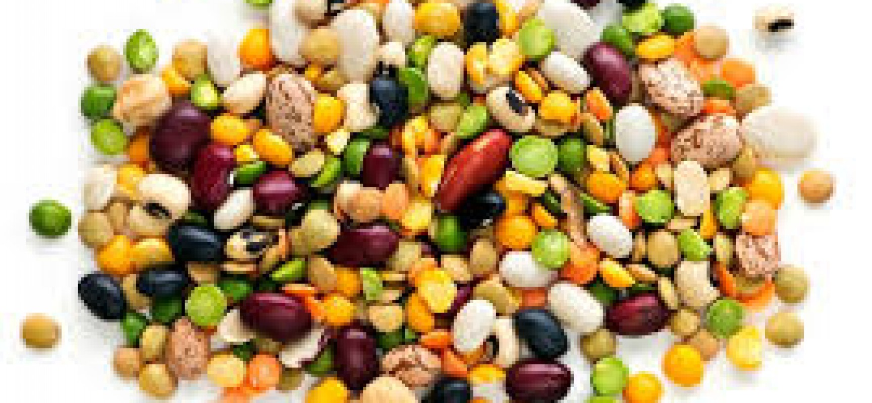 Foods for weight loss