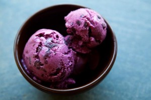 blueberry-frozen-yogurt-1