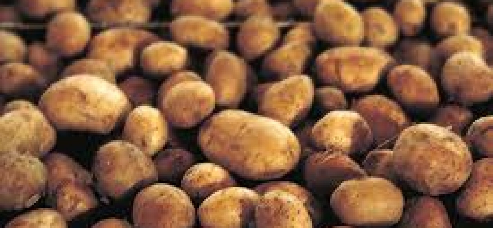 Potatoes: Goodness Unearthed