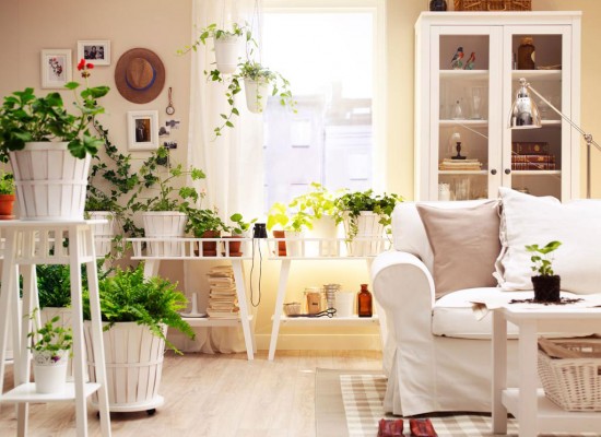 INDOOR HOMEGROWN HEALINGS