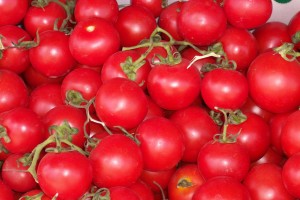 tomato1