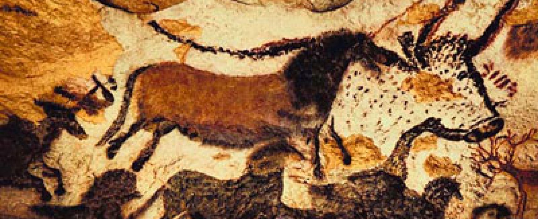 A Look into the Paleolithic Diet